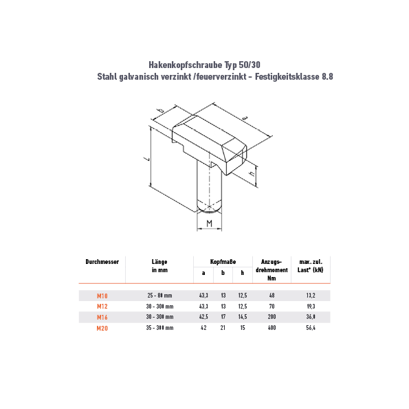 Hakenkopfschraube 50/30 - M10 x 80 mm - A4