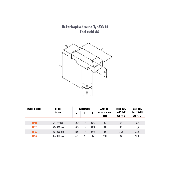 Hakenkopfschraube 50/30 - M10 x 80 mm - A4